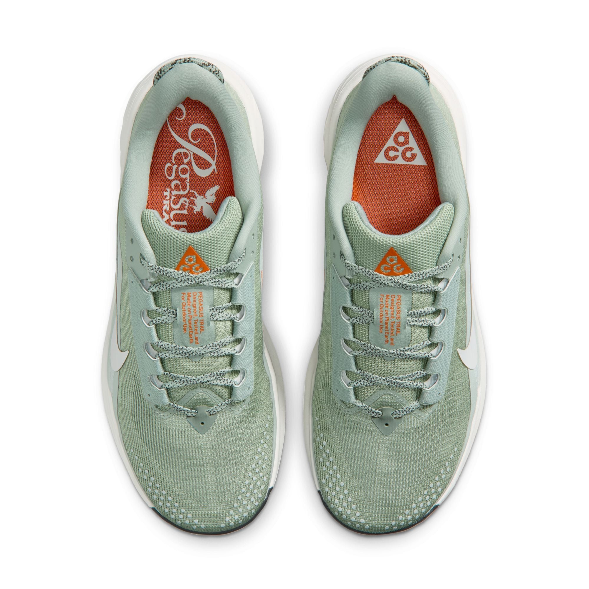 Nike Männer ACG Pegasus Trail