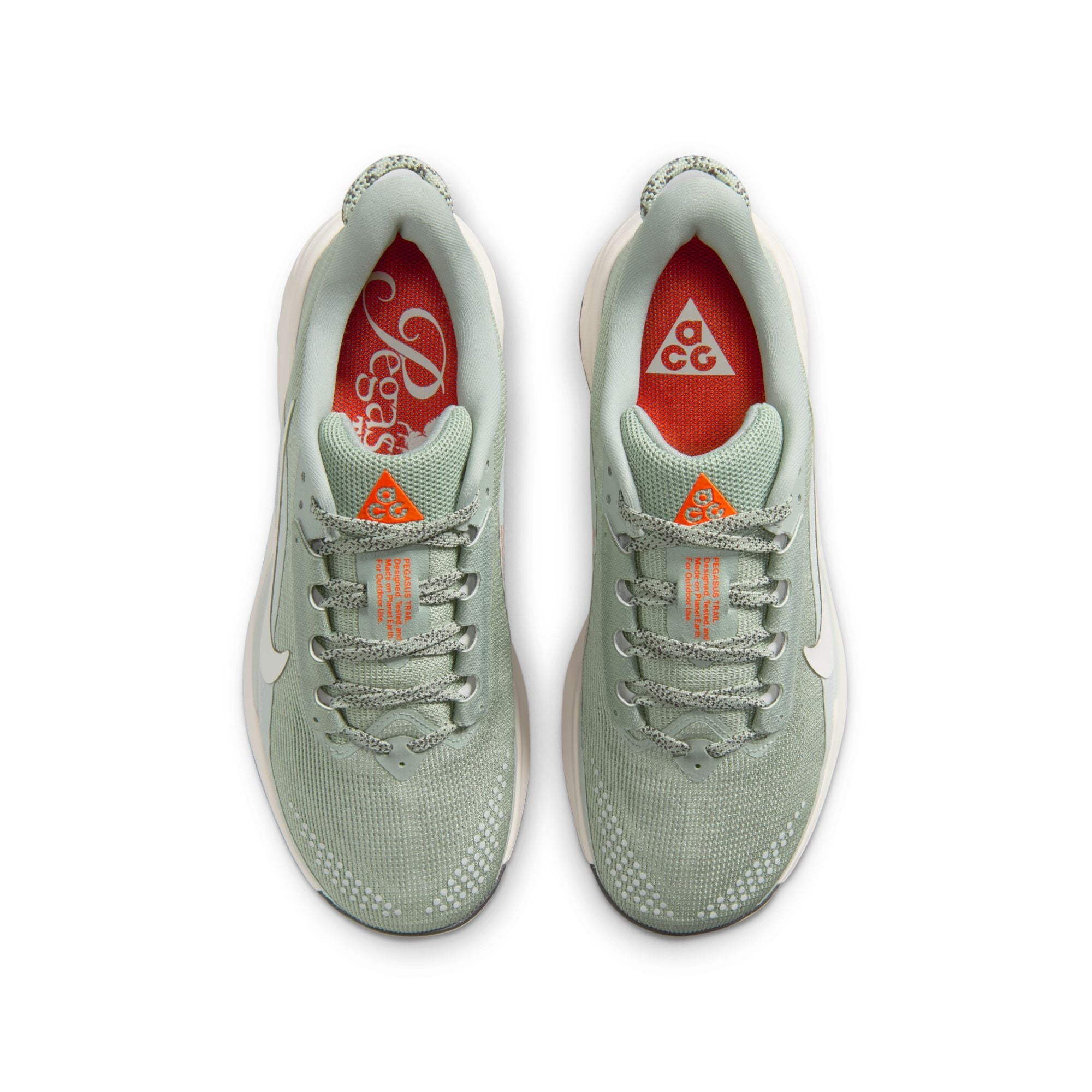 Nike Frauen ACG Pegasus Trail
