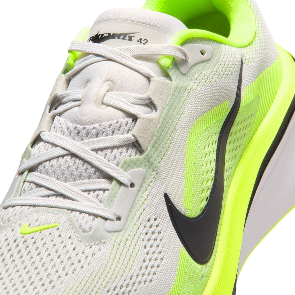 Nike Männer Pegasus 42